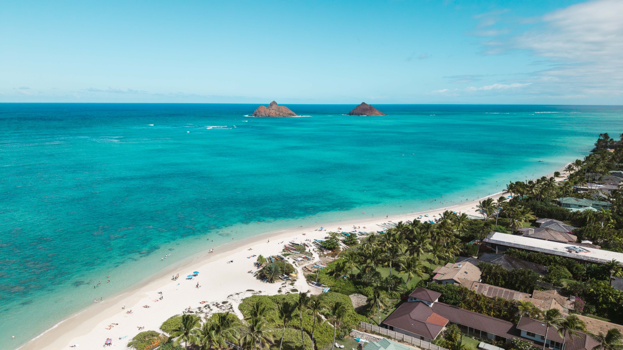 Momentum Management Hawaii branded Hawaii imagery