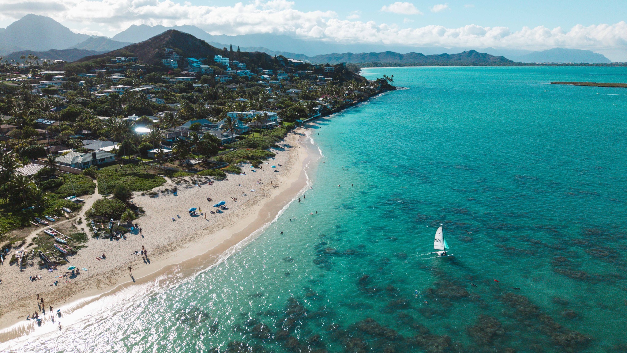 Momentum Management Hawaii branded Hawaii imagery