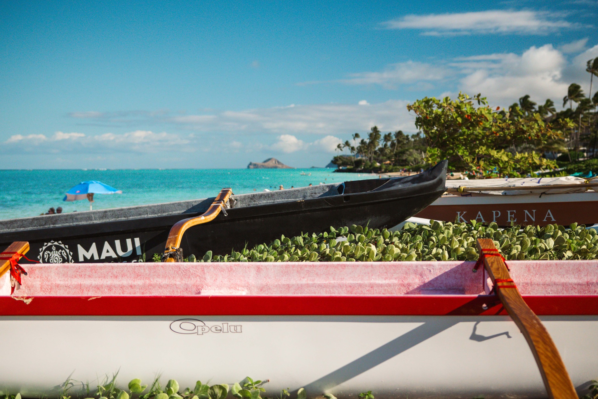 Momentum Management Hawaii branded Hawaii imagery