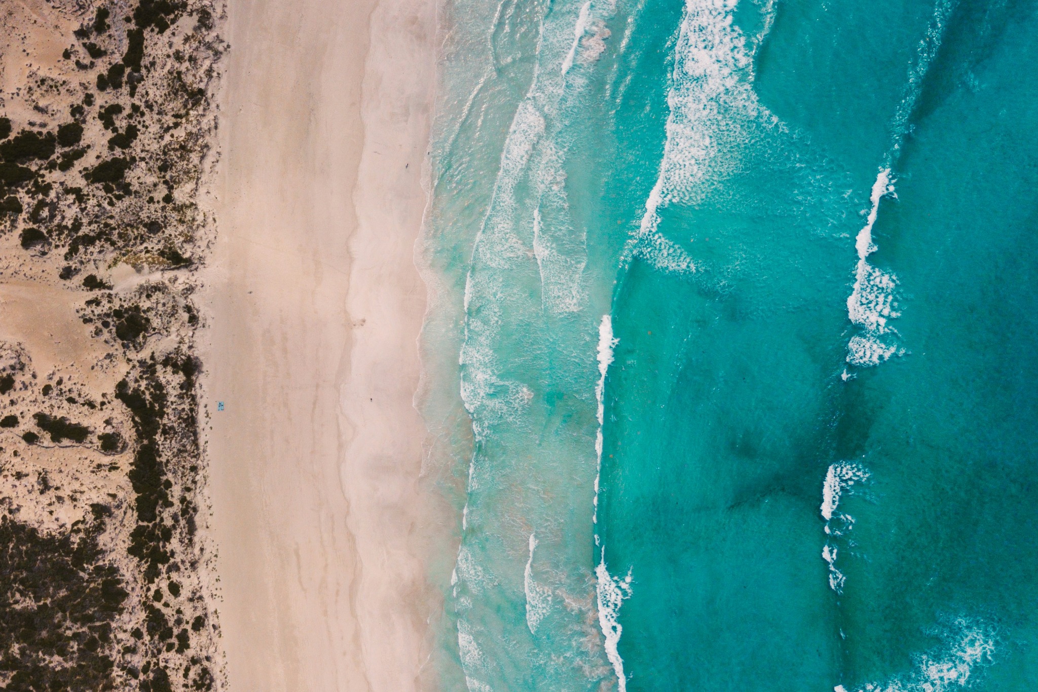 Coastal landscape