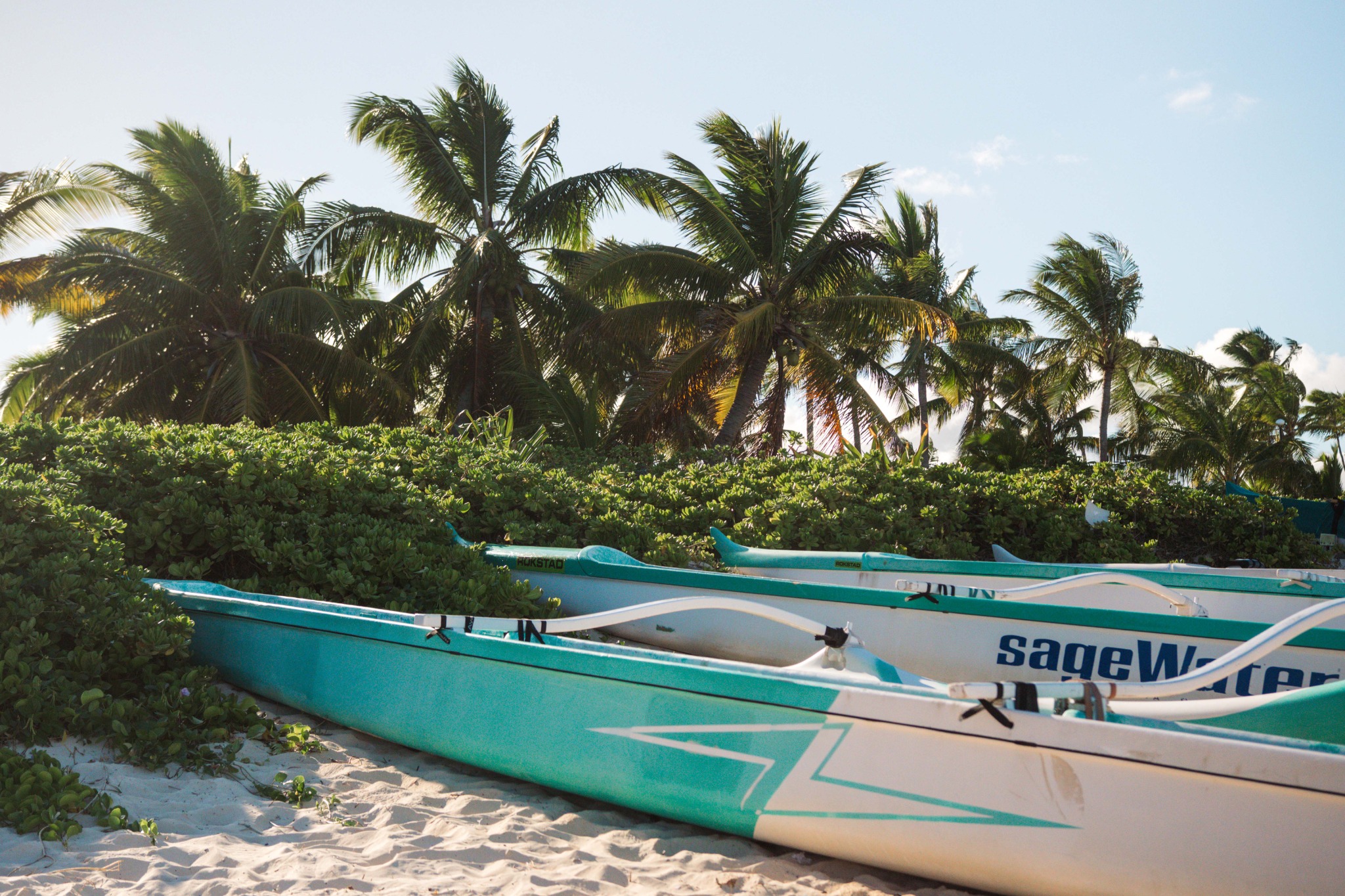 Lanikai beach canoes and palms